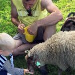 Leiding en lot – 73